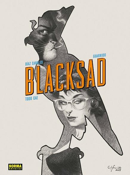 BLACKSAD 6. TODO CAE. EDICIÓN 25 ANIVERSARIO | 9788467980165 | JUAN DIAZ CANALES-JUANJO GUARN
