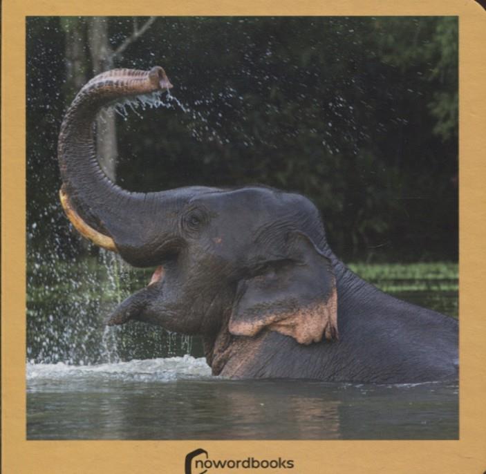 LOS ANIMALES SALVAJES | 9788494295614 | AA.VV.