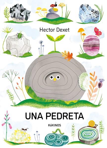 UNA PEDRETA | 9791387686413 | DEXET, HECTOR