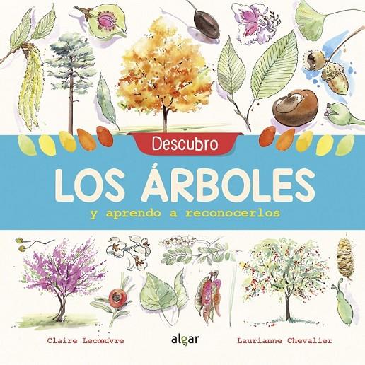 DESCUBRO LOS ÁRBOLES Y APRENDO A RECONOCERLOS | 9788491422952 | LECOEUVRE, CLAIRE