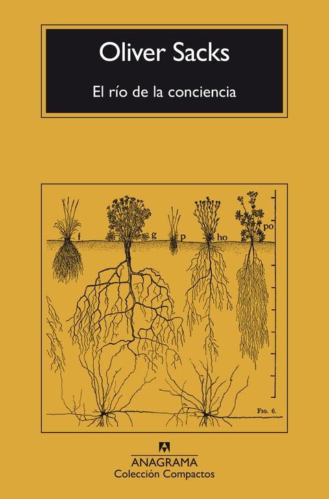 RÍO DE LA CONCIENCIA, EL - CM | 9788433946867 | SACKS, OLIVER