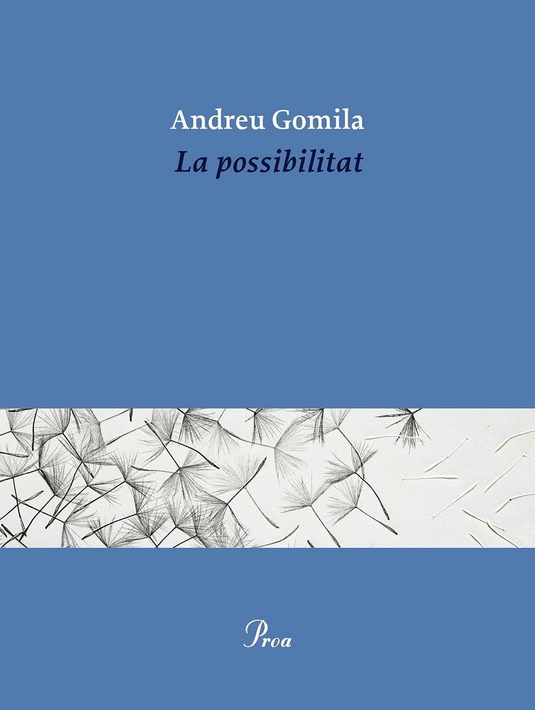 LA POSSIBILITAT | 9791388369155 | GOMILA LLOBERA, ANDREU