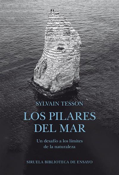 LOS PILARES DEL MAR | 9791388032608 | TESSON, SYLVAIN