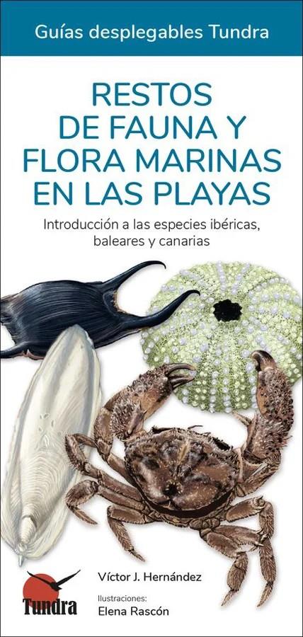 RESTOS DE FAUNA Y FLORA MARINAS EN LAS PLAYAS. INTRODUCCION A LAS ESPECIES IBERICAS, BALEARES Y CANARIAS | 9788418458422