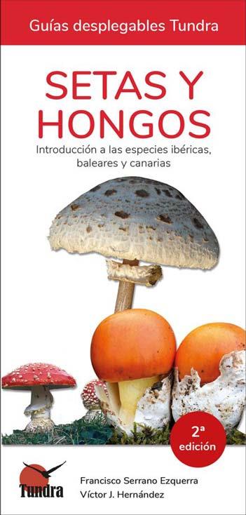 SETAS Y HONGOS 5 | 9788418458118