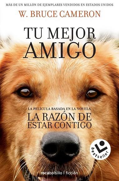 LA RAZÓN DE ESTAR CONTIGO | 9788416240920 | CAMERON, W. BRUCE