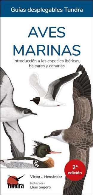 AVES MARINAS - GUIAS DESPLEGABLES TUNDRA | 9788419624178 | HERNANDEZ, VICTOR J.