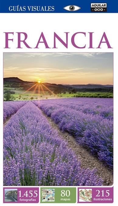 FRANCIA (GUÍA VISUAL 2015) (GUÍAS VISUALES 2015) | 9788403514386 | VARIOS AUTORES