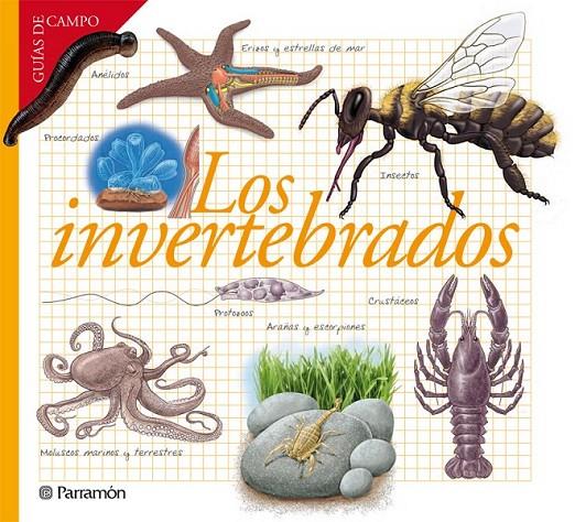 LOS INVERTEBRADOS | 9788434240599 | BARRES MANUEL, JOSEP M.