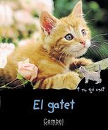 EL GATET | 9788478642304 | MONTARDRE, HÉLÈNE