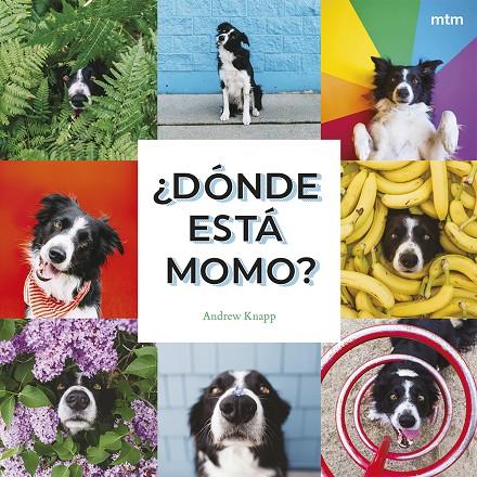 ¿DÓNDE ESTÁ MOMO? | 9788410407909 | KNAPP, ANDREW