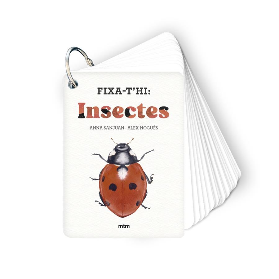 INSECTES | 9788410407213