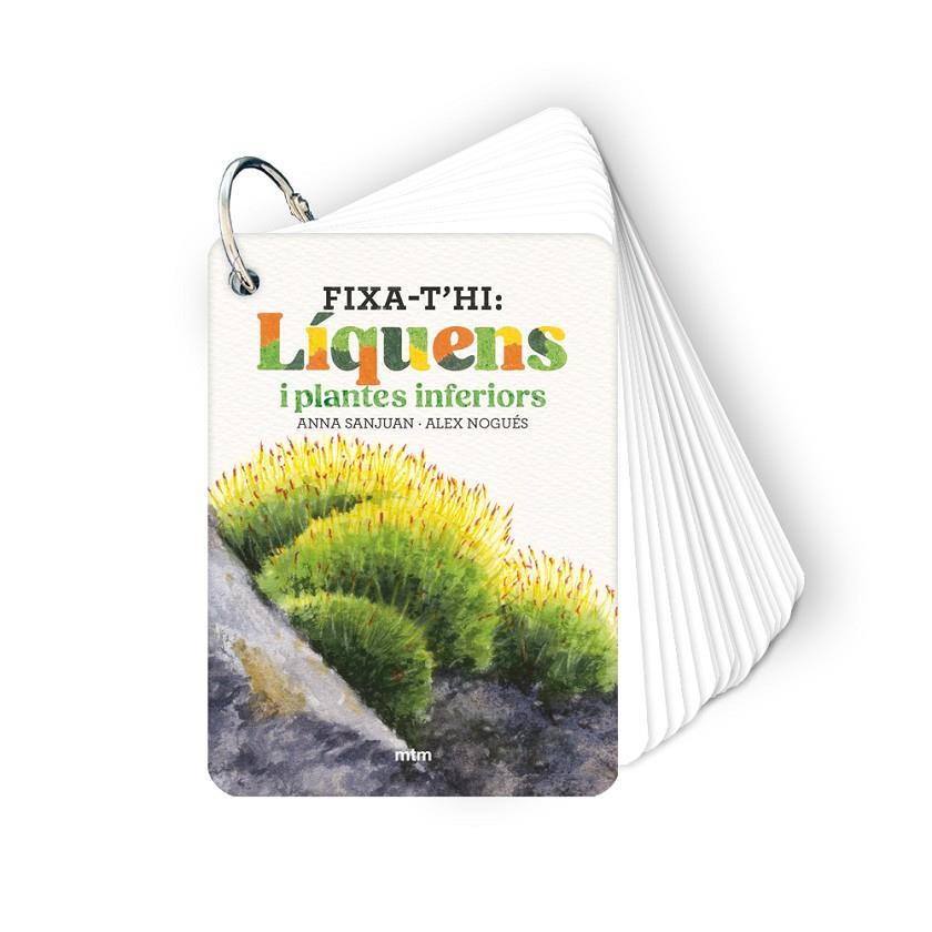 FIXA-T'HI: LÍQUENS I PLANTES INFERIORS | 9788410407626 | SANJUAN LLORENS, ANNA/NOGUÉS OTERO, ALEX