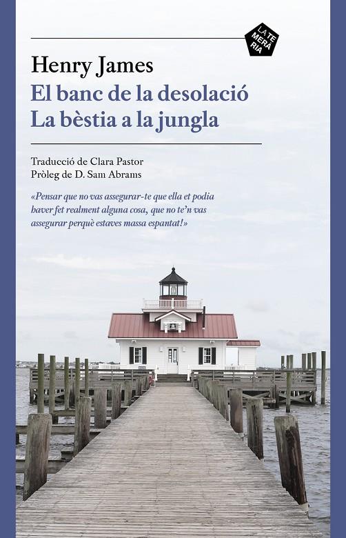 BANC DE LA DESOLACIO,EL - CAT | 9788412356410 | JAMES, HENRY