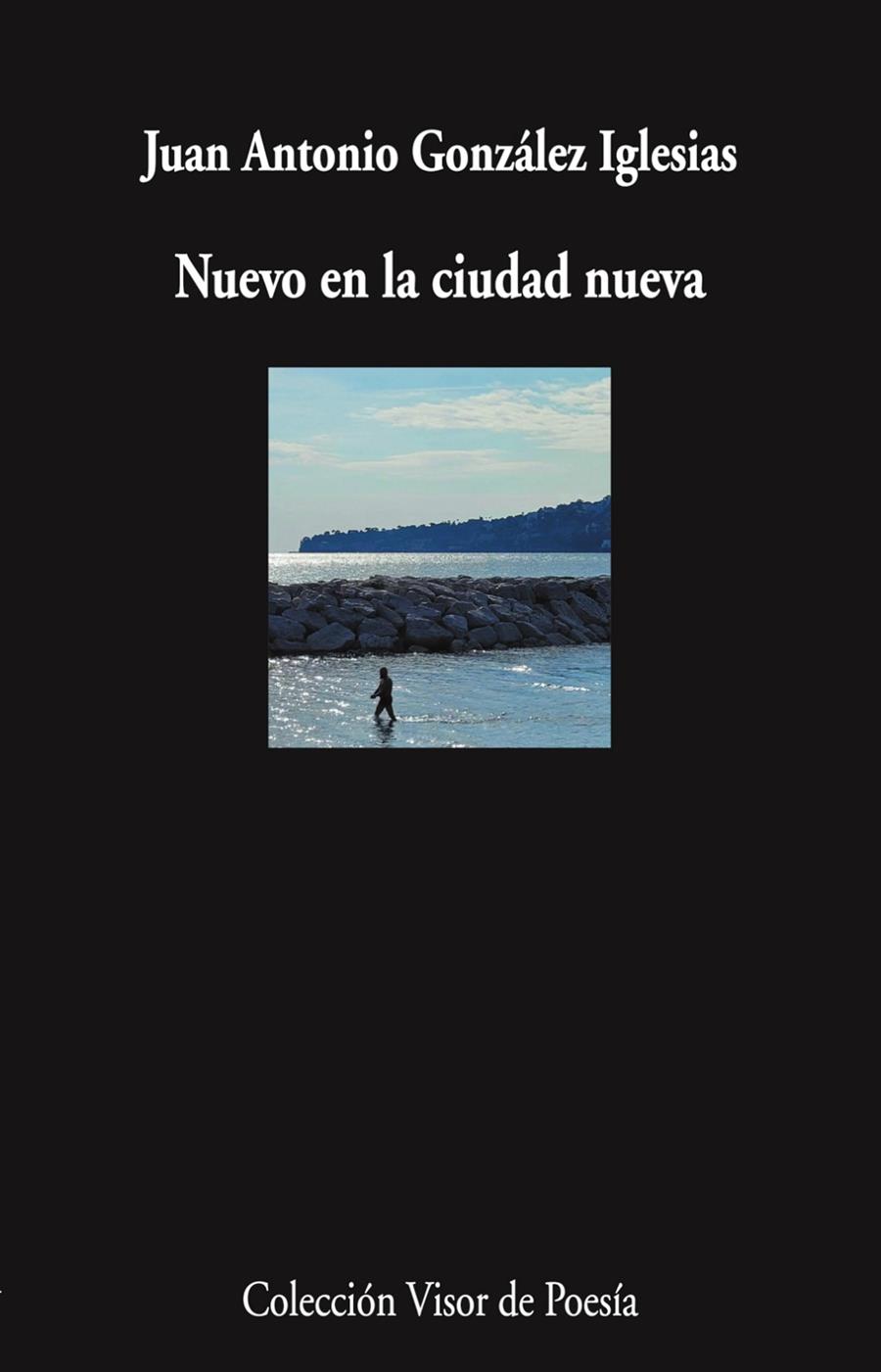NUEVO EN LA CIUDAD NUEVA | 9788498955910 | GONZÁLEZ IGLESIAS, JUAN ANTONIO
