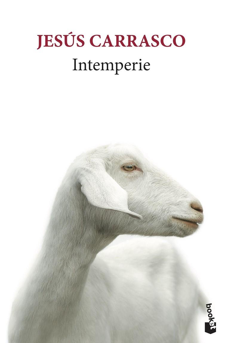 INTEMPERIE | 9788432235757 | CARRASCO, JESÚS