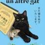 LI RECEPTARÉ UN ALTRE GAT | 9788466434973 | ISHIDA, SYOU