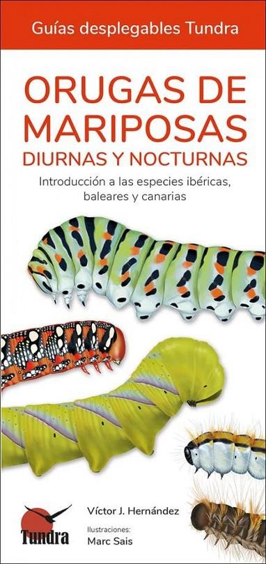 ORUGAS DE MARIPOSAS - GUIAS DESPLEGABLES TUNDRA | 9788418458613 | VICTOR J HERNANDEZ