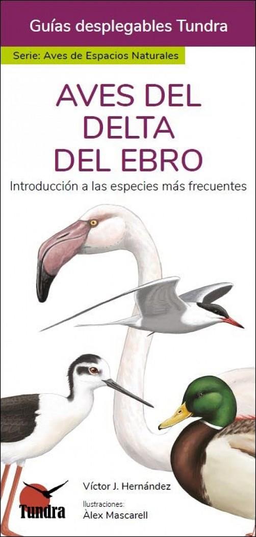 AVES DEL DELTA DEL EBRO - GUIAS DESPLEGABLES TUNDRA | 9788418458941 | HERNANDEZ, VICTOR J.