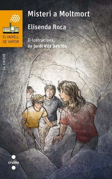 C-VVT.186 MISTERI A MOLTMORT | 9788466142007 | ROCA, ELISENDA