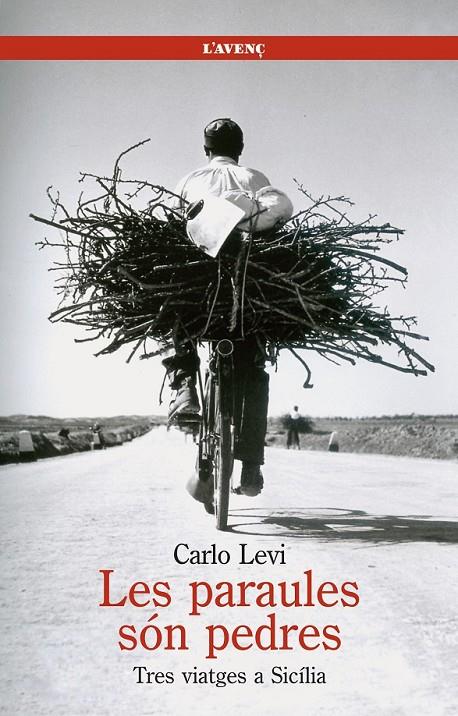 LES PARAULES SÓN PEDRES | 9788488839503 | LEVI, CARLO