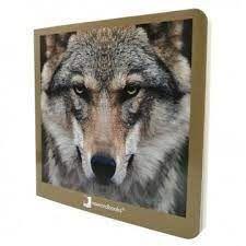 ANIMALES SALVAJES 02 12 | 9788412171051
