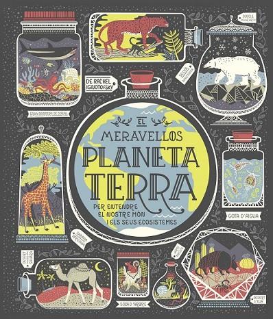 EL MERAVELLÓS PLANETA TERRA | 9788491378778 | IGNOTOFSKY, RACHEL