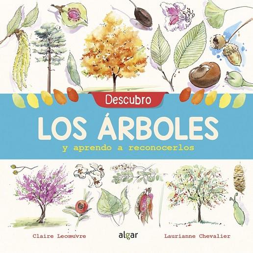 DESCUBRO LOS ÁRBOLES Y APRENDO A RECONOCERLOS | 9788491422952 | LECOEUVRE, CLAIRE