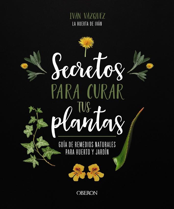 SECRETOS PARA CURAR TUS PLANTAS | 9788441547162 | VÁZQUEZ MUÑOZ, IVÁN