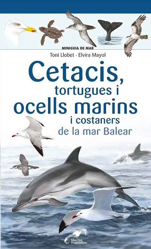 CETACIS, TORTUGUES I OCELLS MARINS I COSTANERS DE LA MAR BALEAR | 9788413562735 | MAYOL, ELVIRA