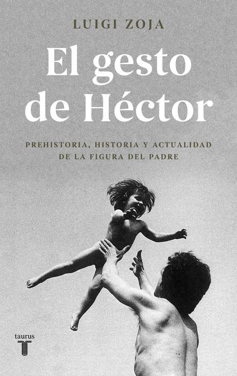 EL GESTO DE HÉCTOR | 9788430619313 | ZOJA, LUIGI