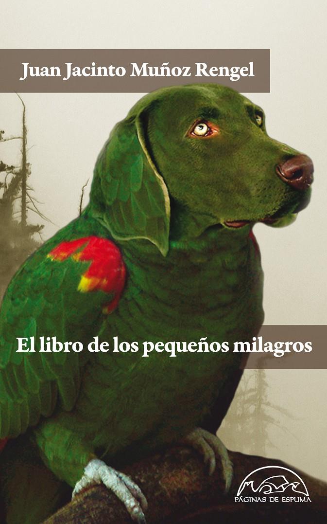 EL LIBRO DE LOS PEQUEÑOS MILAGROS | 9788483931462 | MUÑOZ RENGEL, JUAN JACINTO
