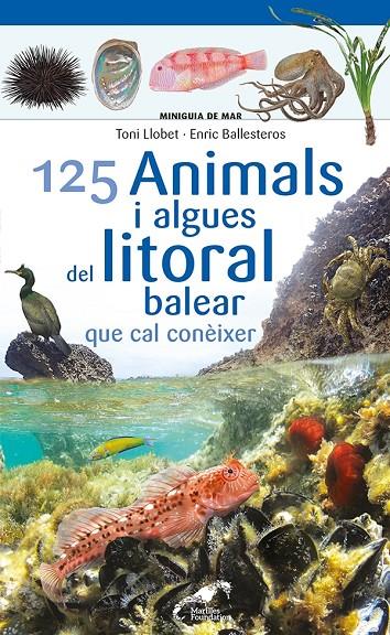 125 ANIMALS I ALGUES DEL LITORAL BALEAR QUE CAL CONÈIXER | 9788413562704 | BALLESTEROS SAGARRA, ENRIC