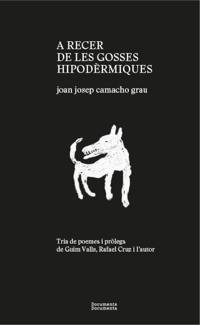 A RECER DE LES GOSSES HIPODÈRMIQUES | 9788412258257 | CAMACHO GRAU, JOAN JOSEP