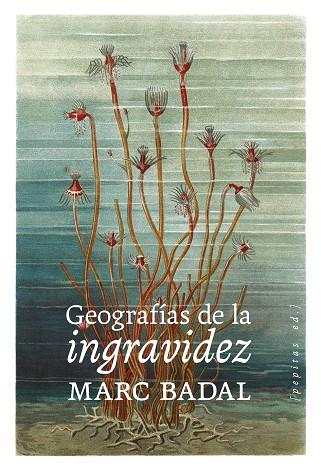 GEOGRAFÍAS DE LA INGRAVIDEZ | 9788418998669 | BADAL PIJOAN, MARC