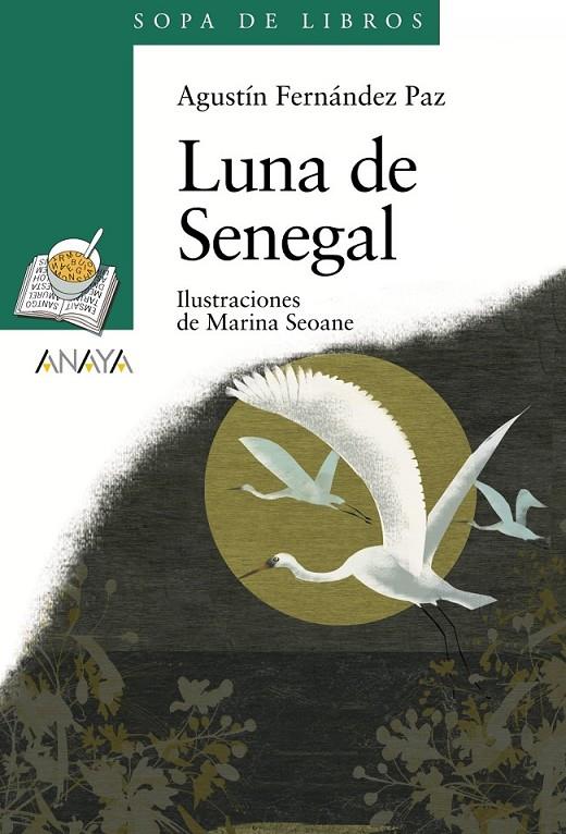 LUNA DE SENEGAL | 9788466784306 | FERNÁNDEZ PAZ, AGUSTÍN