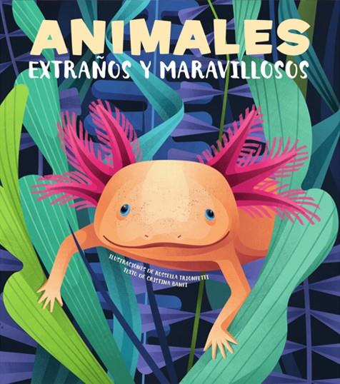 ANIMALES EXTRAÑOS Y MARAVILLOSOS (VVKIDS) | 9788468270678 | BANFI, CRISTINA