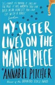 MY SISTER LIVES ON THE MANTELPIECE | 9781780621869 | PITCHER, ANNABEL