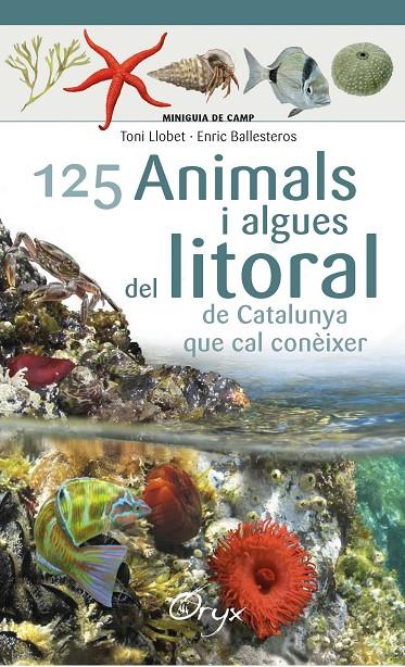 125 ANIMALS I ALGUES DEL LITORAL DE CATALUNYA | 9788490347416 | BALLESTEROS SAGARRA, ENRIC/LLOBET FRANÇOIS, TONI