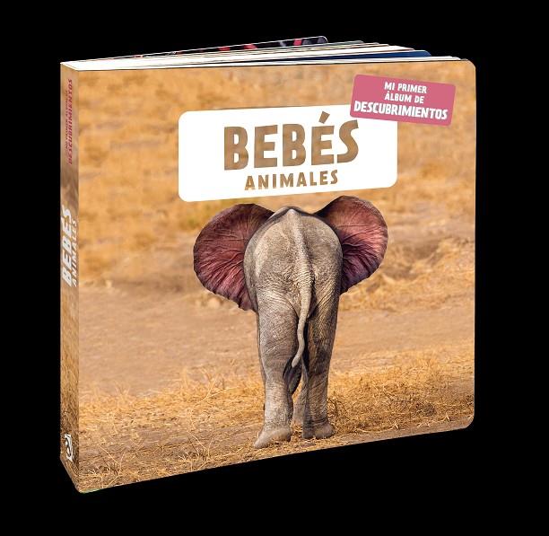 BEBÉS ANIMALES | 9788418762116 | NATURAGENCY