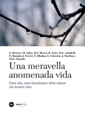 UNA MERAVELLA ANOMENADA VIDA | 9788447540310 | VARIOS AUTORES