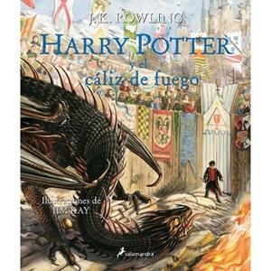 HARRY POTTER Y EL CÁLIZ DE FUEGO | 9788498389944 | ROWLING, J. K./KAY, JIM