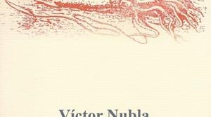 EL VIAJE SECRETO DE ELIDAN MARAU A TRAVÉS DEL MAR DE LECHE | 9788494510809 | NUBLA NUBLA, VÍCTOR