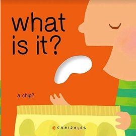 WHAT IS IT? | 9781935242352