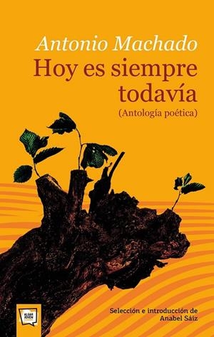 HOY ES SIEMPRE TODAVÍA (ANTOLOGÍA POÉTICA) | 9788491423768 | MACHADO RUIZ, ANTONIO