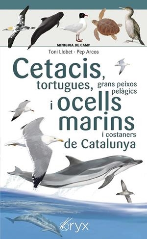 CETACIS, TORTUGUES, GRANS PEIXOS PELÀGICS I OCELLS MARINS DE CATALUNYA | 9788490349441 | LLOBET, TONI/ARCOS, PEP