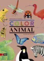 COLOR ANIMAL - CATALÀ | 9788417374648