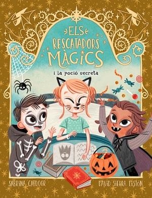 ELS RESCATADORS MÀGICS 6. I LA POCIÓ SECRETA | 9788424668556 | CATDOOR, SABRINA