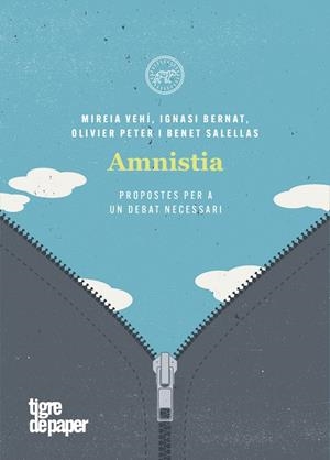 AMNISTIA - PROPOSTES PER A UN DEBAT NECESSARI - CA | 9788418705021