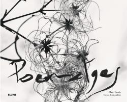 POEMATGES | 9788416965250 | BOADA JUNCÀ, MARTÍ/ROMANILLOS VIDAÑA, TERESA/RODRÍGUEZ FISCHER, CRISTINA